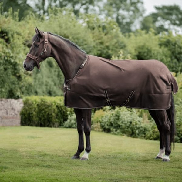 Hovedbilde Bucas Irish Turnout + Hals, Espresso