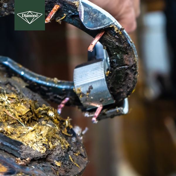 Hovedbilde Brekktang Diamond SP