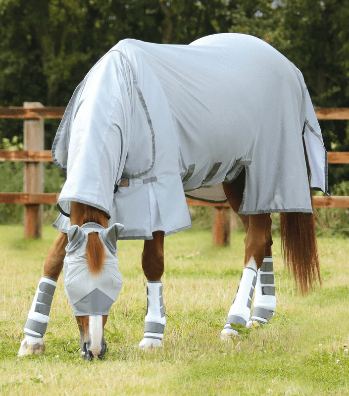 Premier Equine Fluedekken