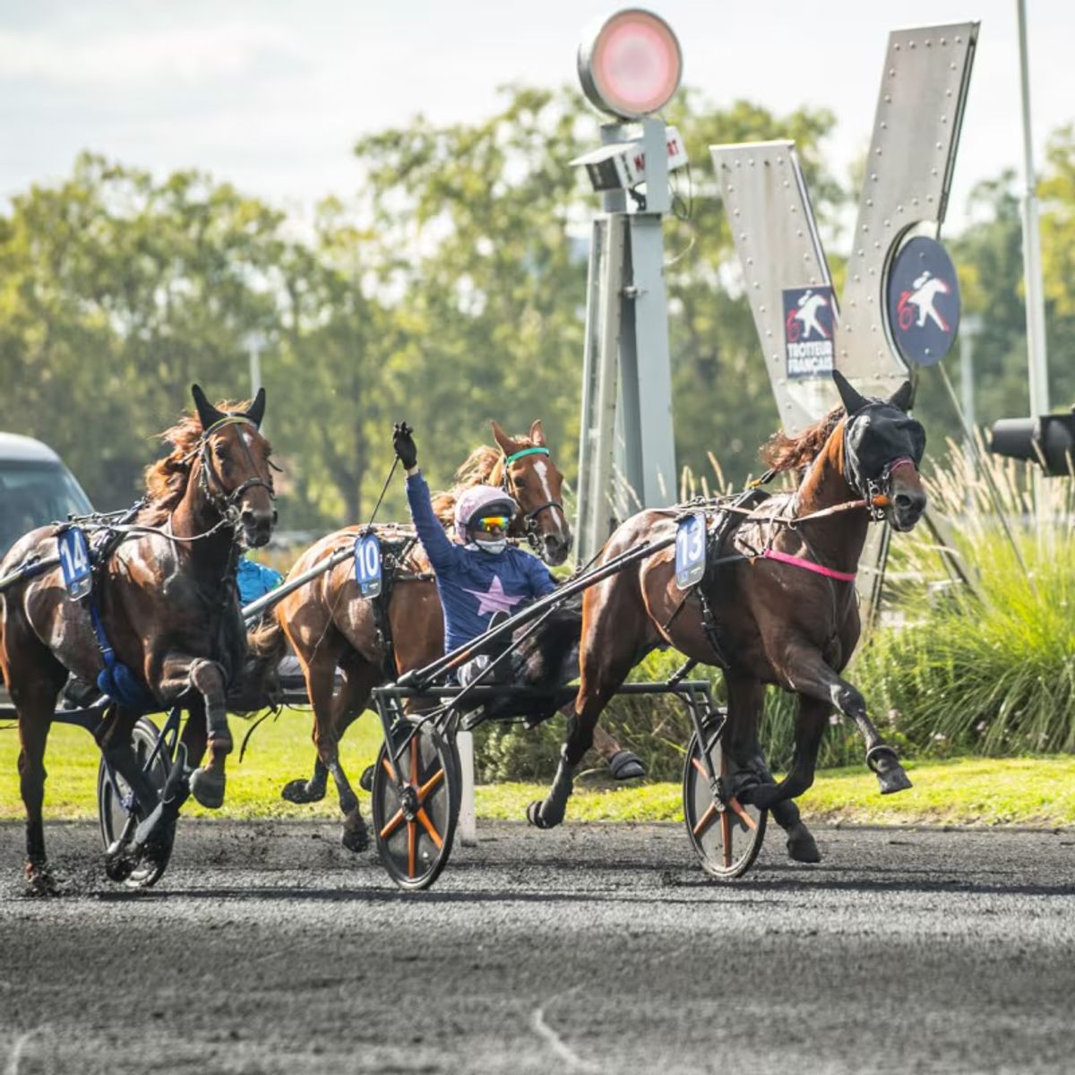 Finntack YANKEE sulky med carbon sulkyhjul 28