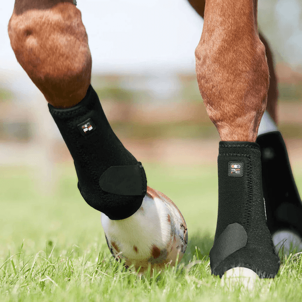 Hovedbilde Premier Equine Air-Tech Sports Medicine Belegg