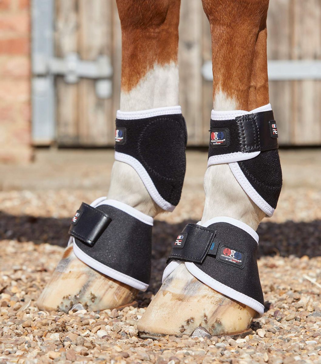 Premier Equine Magnetterapi for Hov