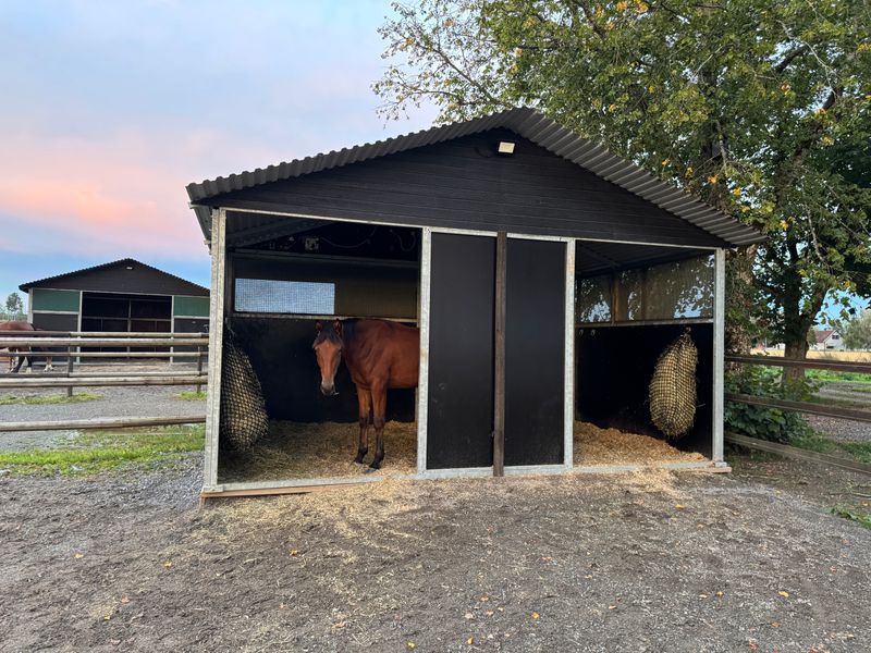 Leskur, liggehall, løsdrift til hest (Contryhus)