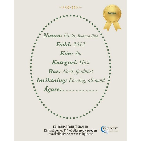 Hovedbilde Kjepphest Greta